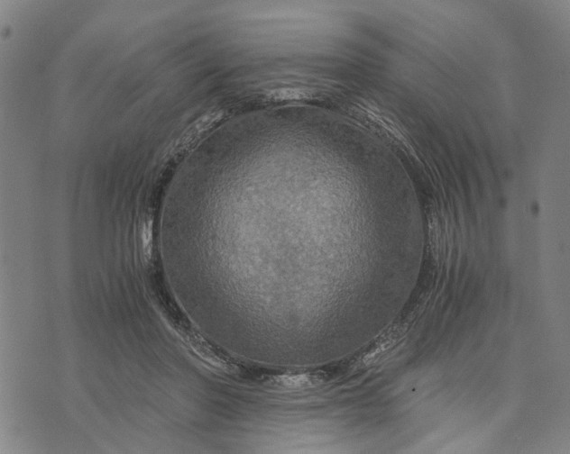 X0000076350406200610161804