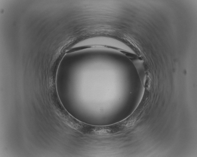 X0000076350407200610161804