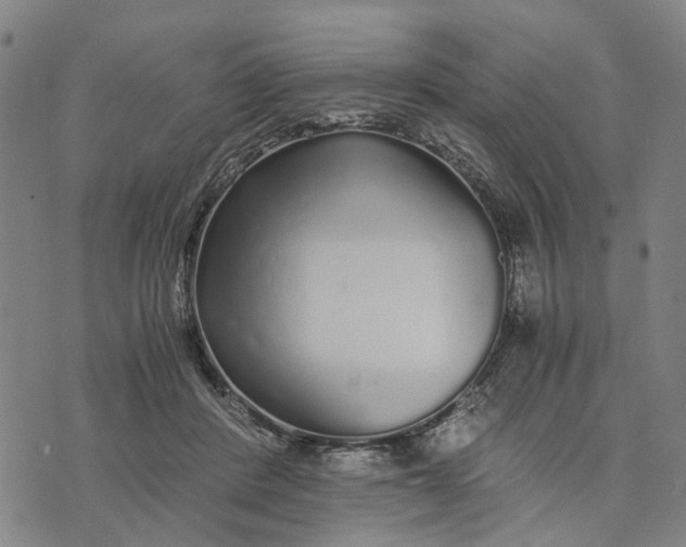 X0000076350408200610161804