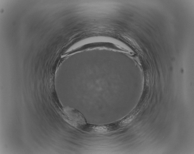 X0000076350409200610161804