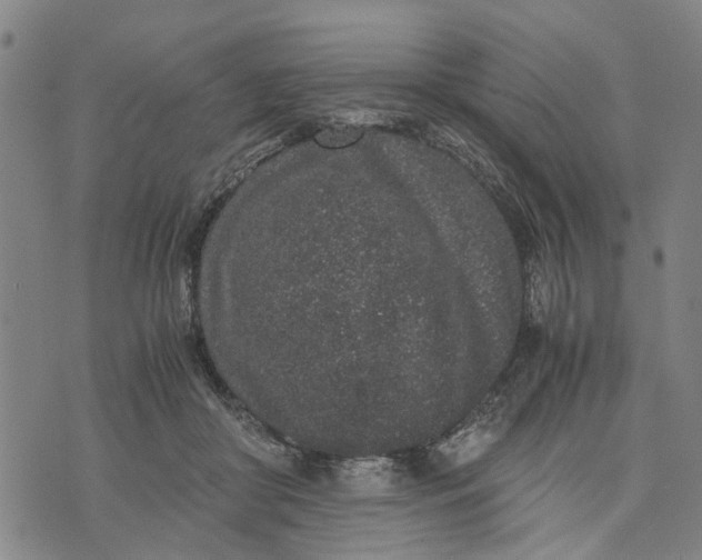 X0000076350410200610161804