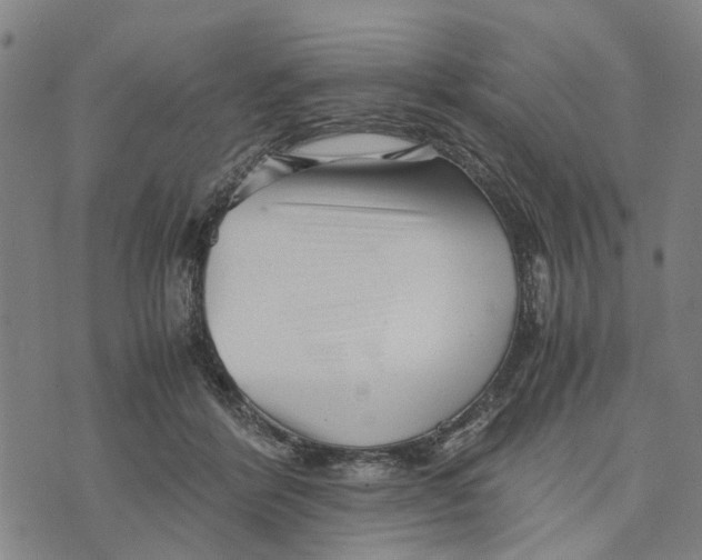 X0000076350412200610161804