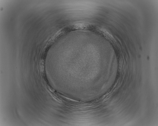 X0000076350413200610161804