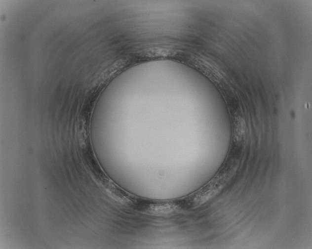 X0000076350414200610161804