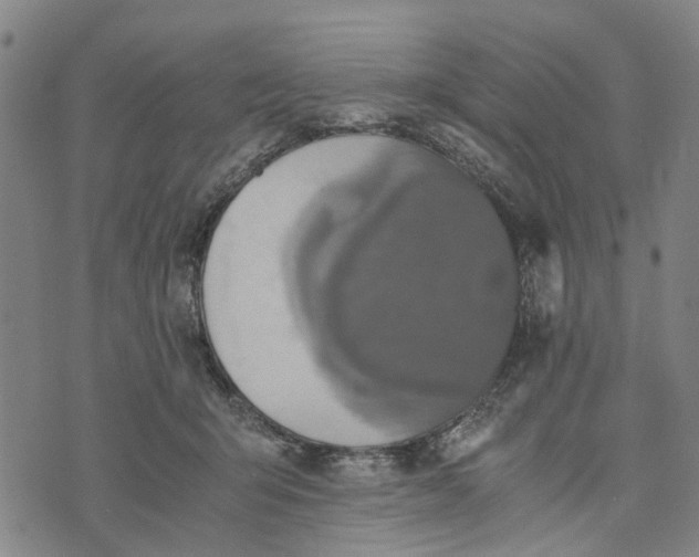 X0000076350415200610161804