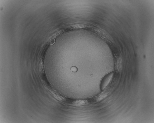 X0000076350418200610161804