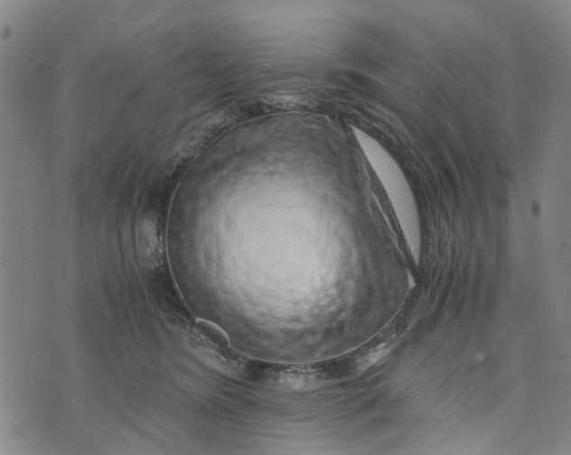 X0000076350420200610161804