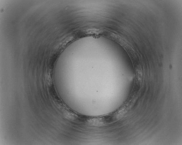 X0000076350422200610161803