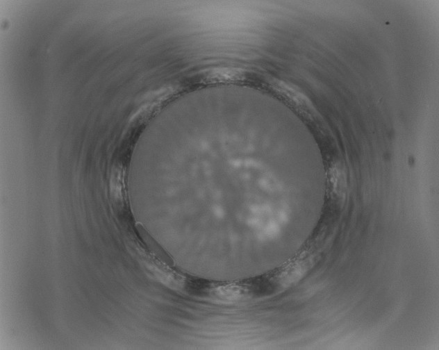 X0000076350423200610161803