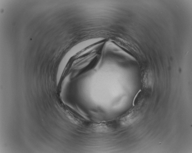 X0000076350424200610161803