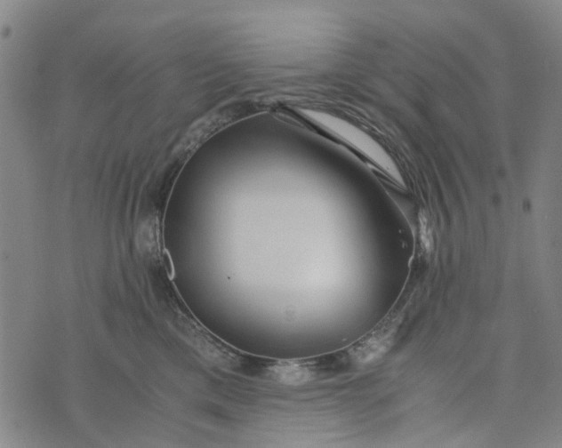 X0000076350425200610161803