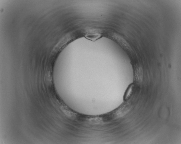 X0000076350426200610161803