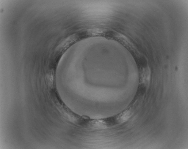 X0000076350427200610161803