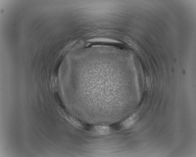 X0000076350429200610161803