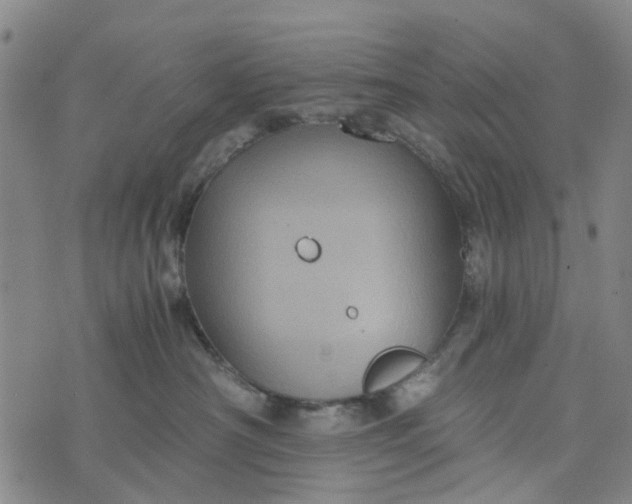 X0000076350430200610161803