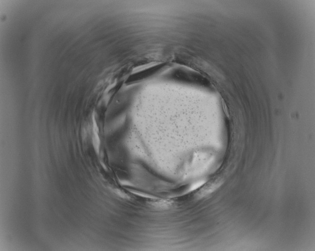 X0000076350432200610161803