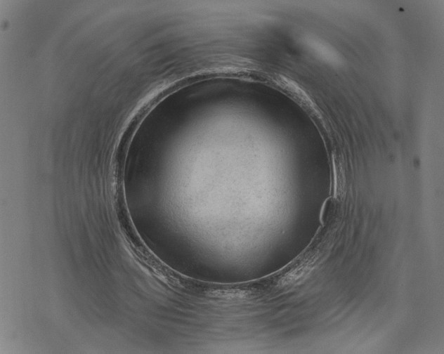 X0000076350435200610161803