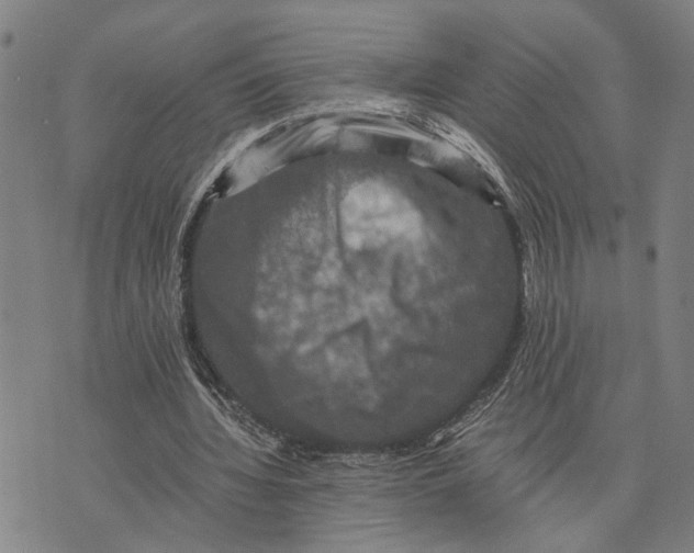 X0000076350436200610161803