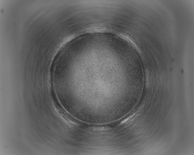 X0000076350439200610161803