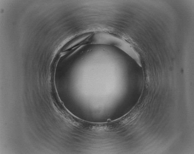 X0000076350440200610161803