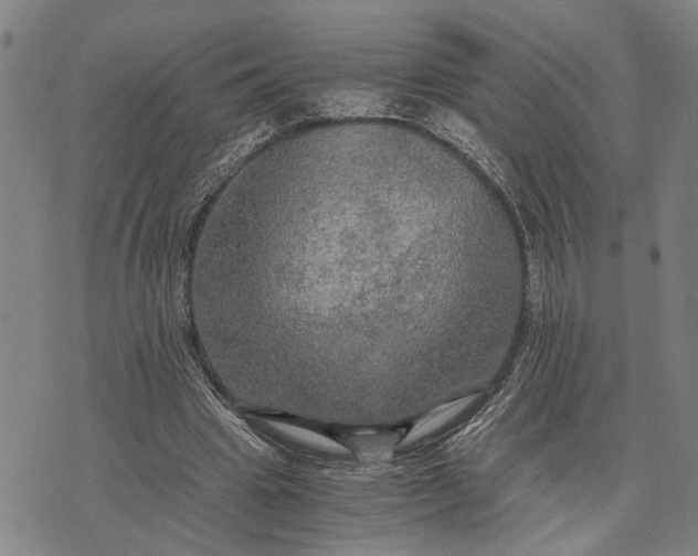 X0000076350441200610161803