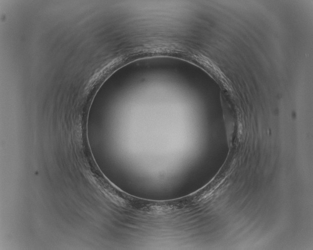 X0000076350442200610161803