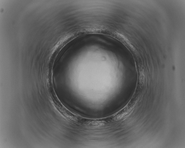 X0000076350443200610161803