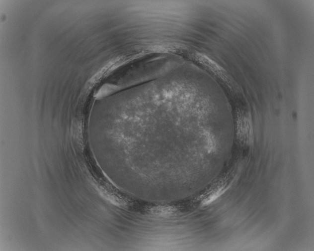 X0000076350444200610161803