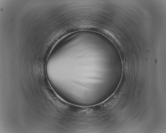 X0000076350447200610161803