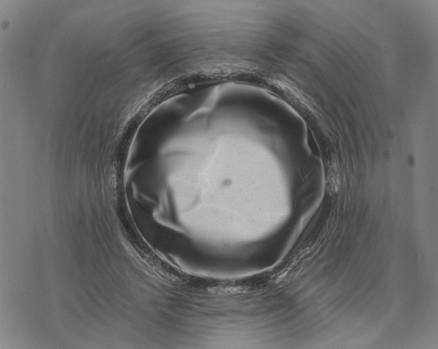 X0000076350448200610161803