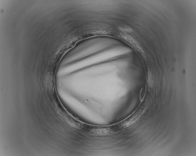 X0000076350449200610161803