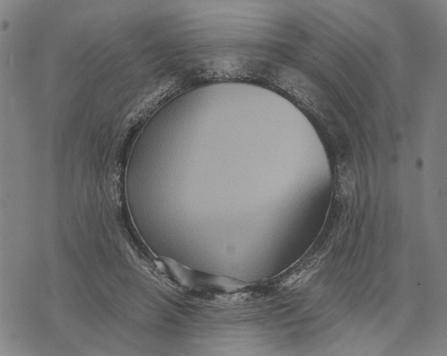 X0000076350450200610161803