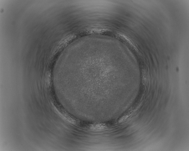 X0000076350451200610161803