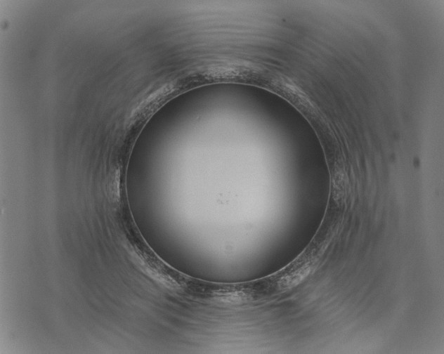 X0000076350454200610161803