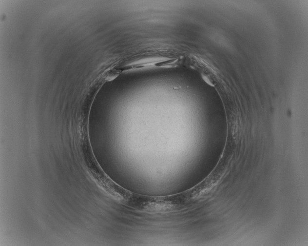 X0000076350455200610161803