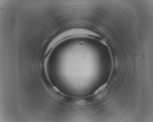 X0000076350456200610161803