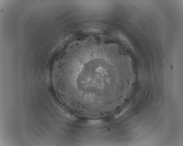 X0000076350457200610161803