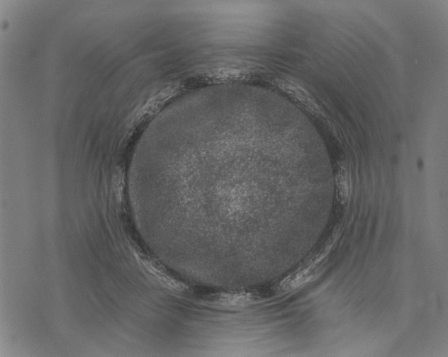 X0000076350458200610161803