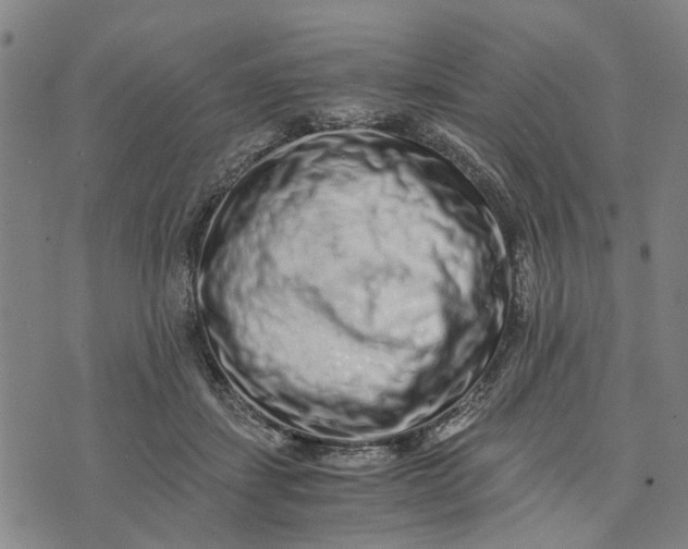 X0000076350459200610161803