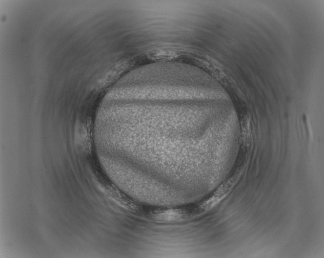 X0000076350460200610161803