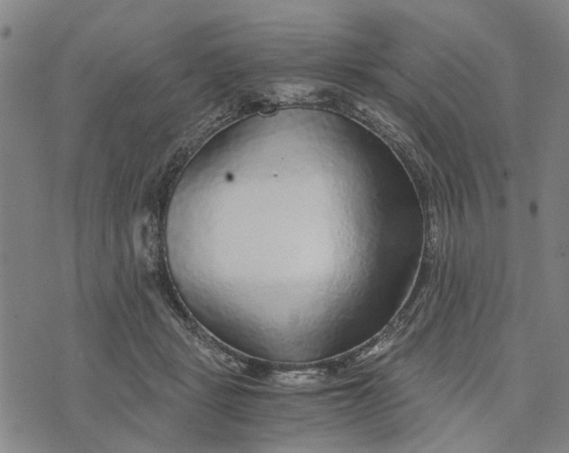 X0000076350461200610161803