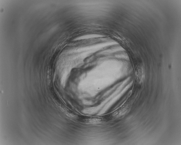 X0000076350462200610161803