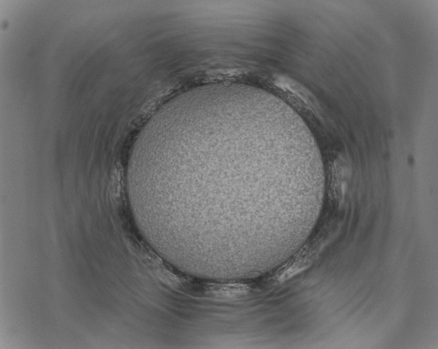 X0000076350463200610161803