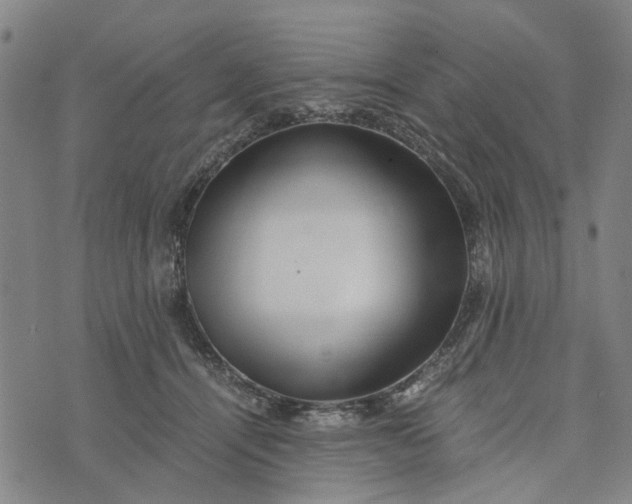 X0000076350464200610161803