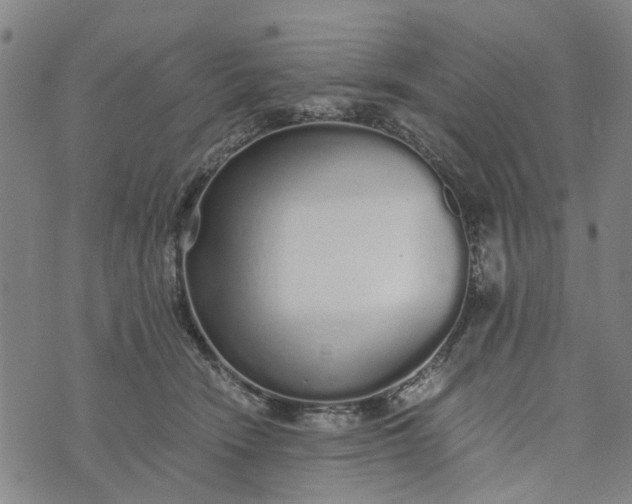 X0000076350466200610161803