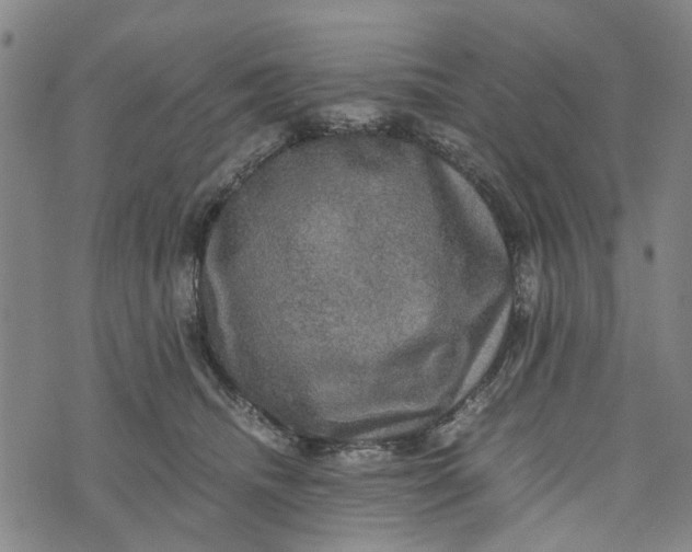 X0000076350468200610161803