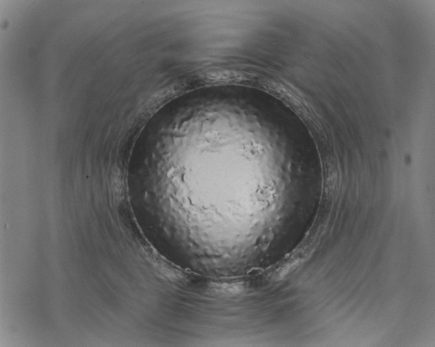 X0000076350469200610161803