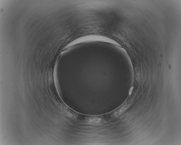 X0000076350471200610161803