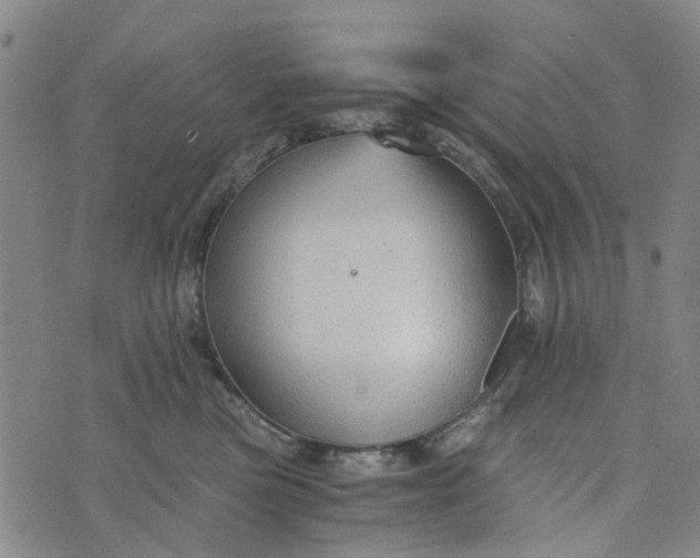 X0000076350473200610161803