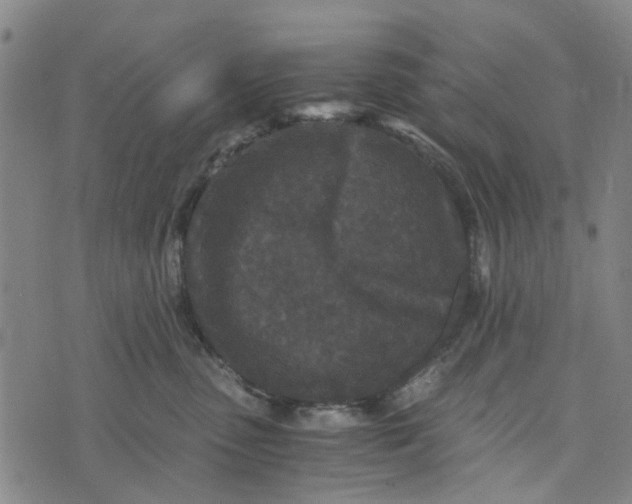 X0000076350475200610161803